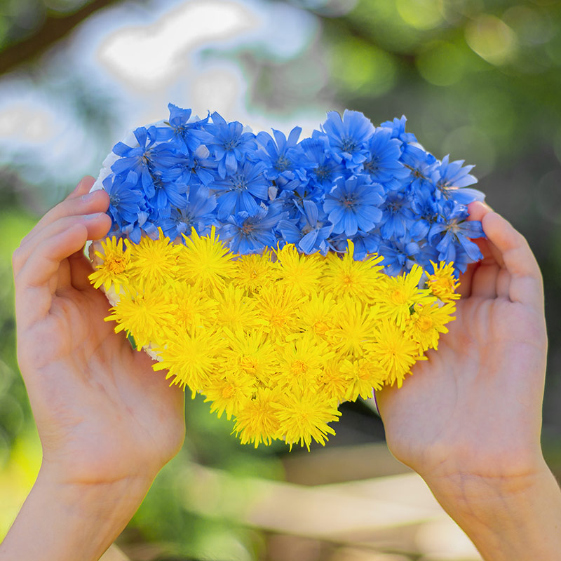 We Support the Ukraine Humanitarian Relief Efforts